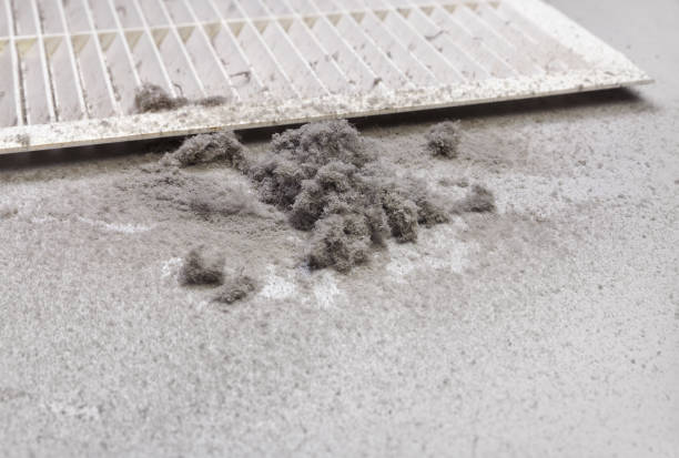 Best Air Duct Cleaning Near Me  in Chackbay, LA